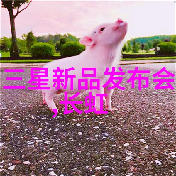 城市清洁行动第一步公共服务设施应当采取哪些措施来有效管理和减少社区中的不当丢弃和滥用废机油现象