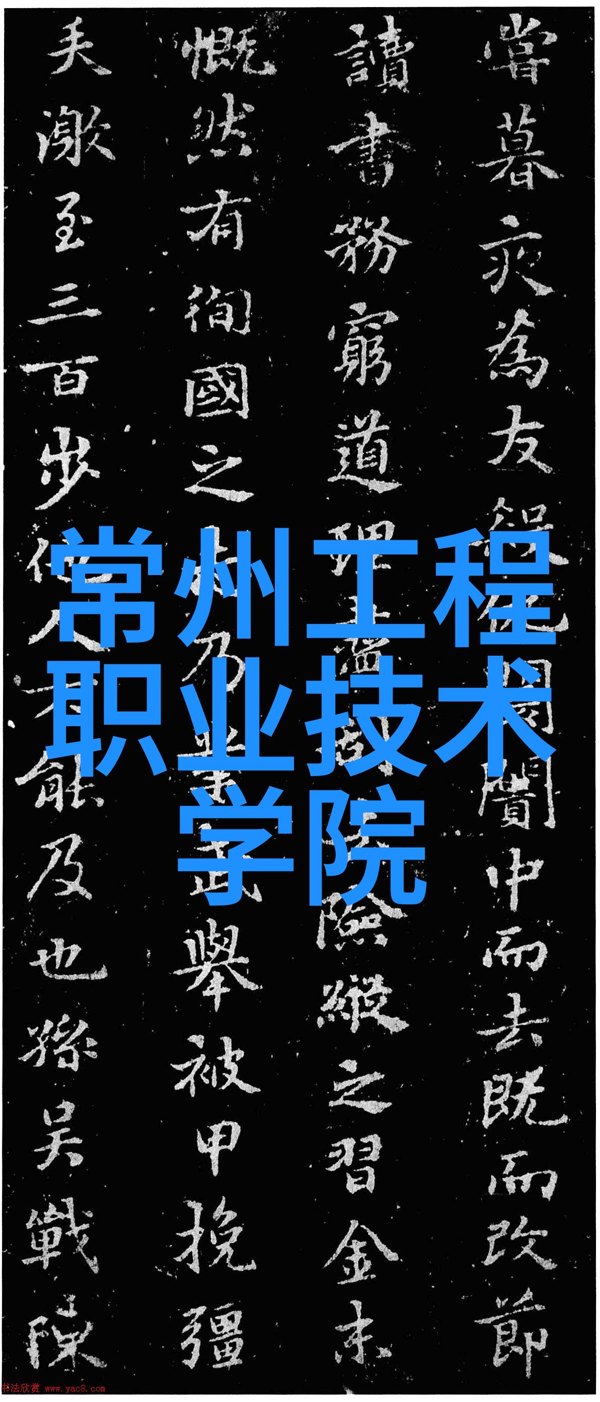 金融市场深度解析第一财经独家揭秘资金流向变化规律