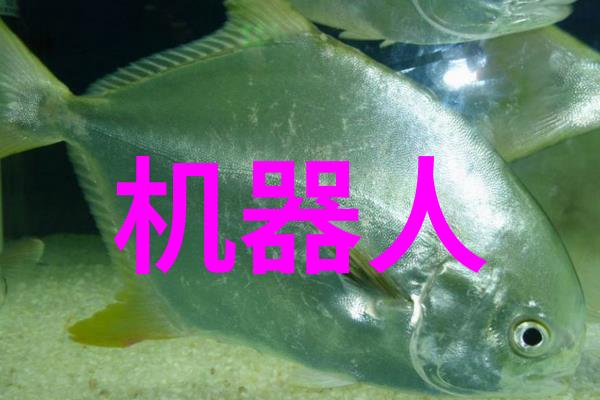 人物聚焦东方财经的金融先锋们
