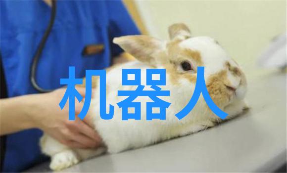 PE管子厂家塑料管材的专业制造与供应商