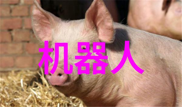 初中生测评系统我的学期大冒险