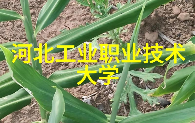 蒸汽奇缘全自动发生器的欢乐冒险