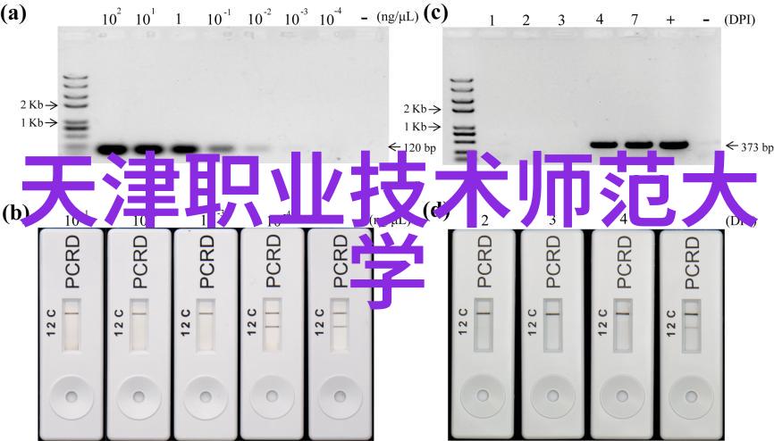 全球科技强峰揭秘世界十大尖端技术的奇迹与未来