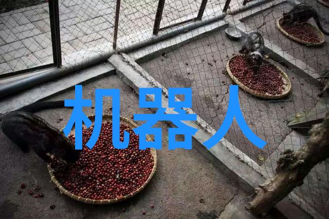数码宝贝进化佳能引领VR新时代年度VR盛会见证技术与艺术的无限可能