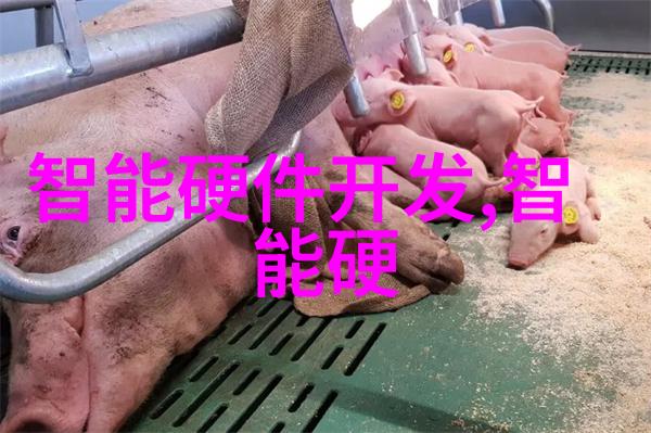 芯片制作之谜揭秘制程技术与微观工艺