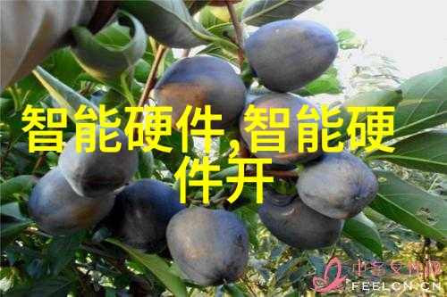 智能设备行业发展从智慧家居到物联网时代的转变
