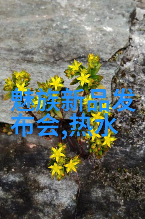 走进江西财经专业实力与创新精神的结合
