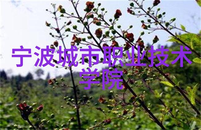 工业用净化水设备研究与应用概述
