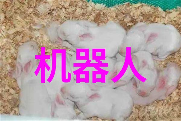 国家标准下的丝网规整填料使用规范