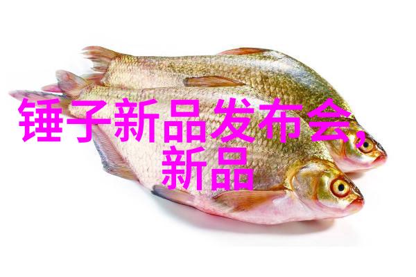 工业和信息化人才测评证书的实际应用价值探究提升职业竞争力与技能认证的重要性