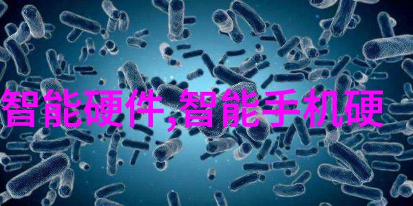 蜜汁炖鱿鱼海洋美味的诱惑