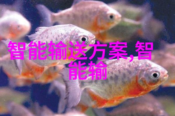 撰写高效报告技巧与模板