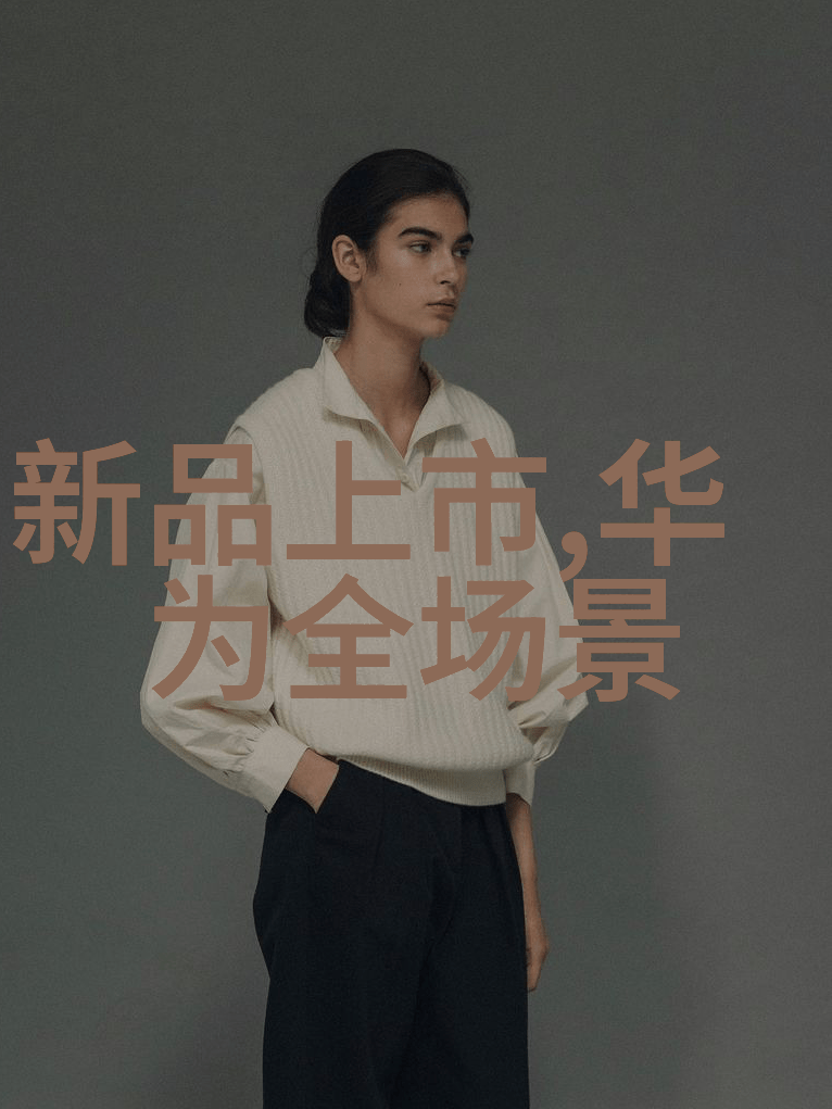 二手货车交易二手车市场-逆袭的道路揭秘二手货车交易市场中的机遇与挑战