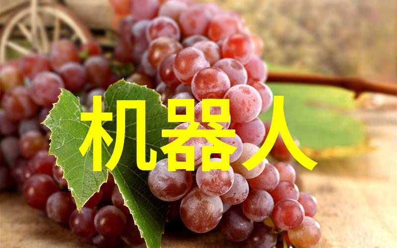 美丽女神的精子之战揭秘生殖世界的奇幻冒险