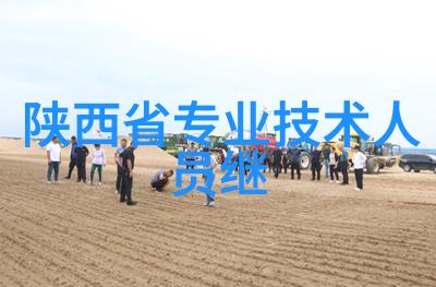 房地产市场的四季变化与播报风格的演进