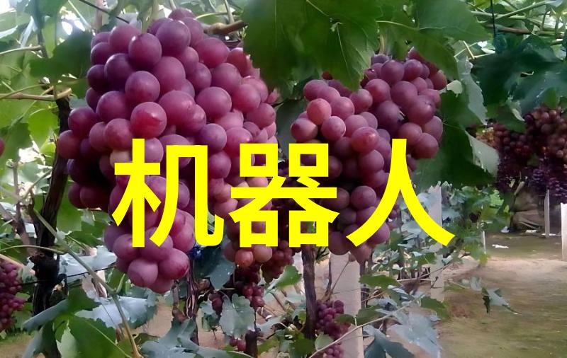 矿物守护者氯化钙干燥设备的秘密世界