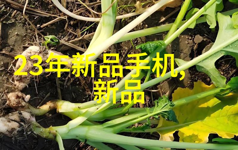 探索双程电视剧的魅力与挑战