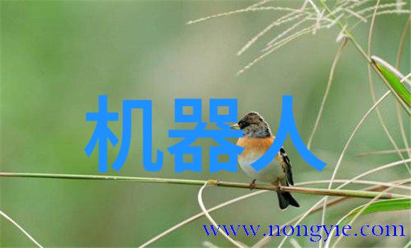 反应器有没有替代品可以使用