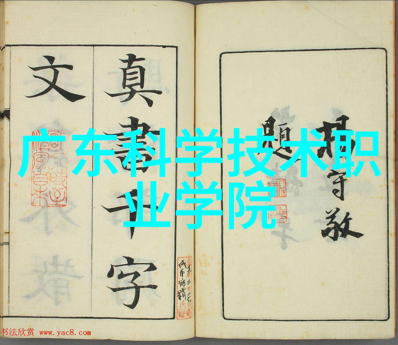 我和我的贮存设备小心你的食物不被这些神器吃掉