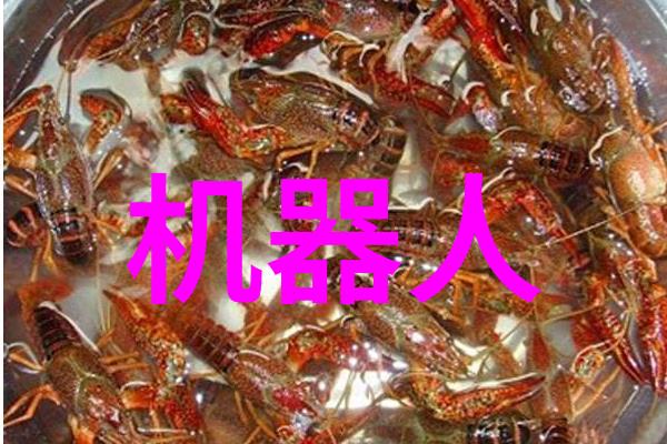 郑州工业应用技术学院智慧工厂的摇篮与创新火花的源泉