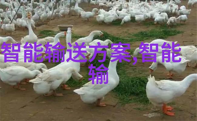 德系650W电源仿佛一位精通十六种人格类型的高深艺术家以其卓越的性能测试为众多电子设备注入了静谧而高