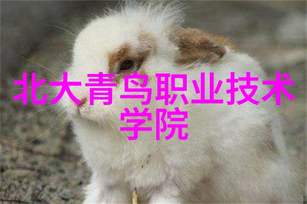 离心萃取机工作原理探究
