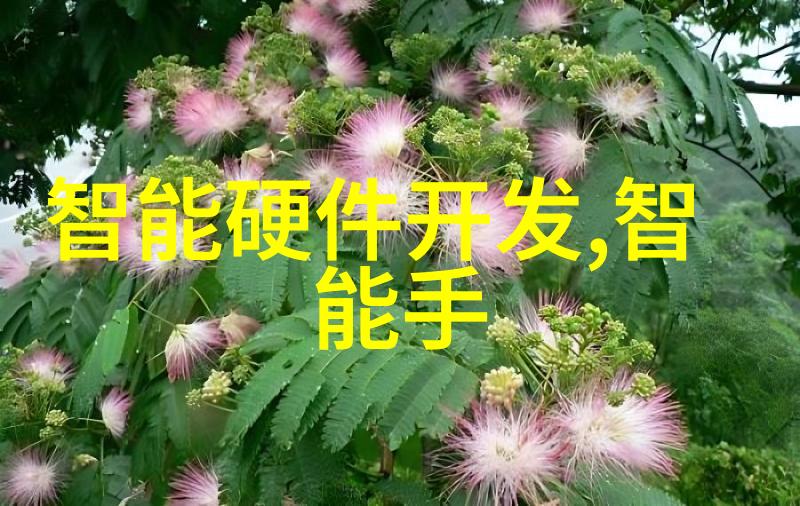 学生生活在这所学校中又是怎样的体验呢