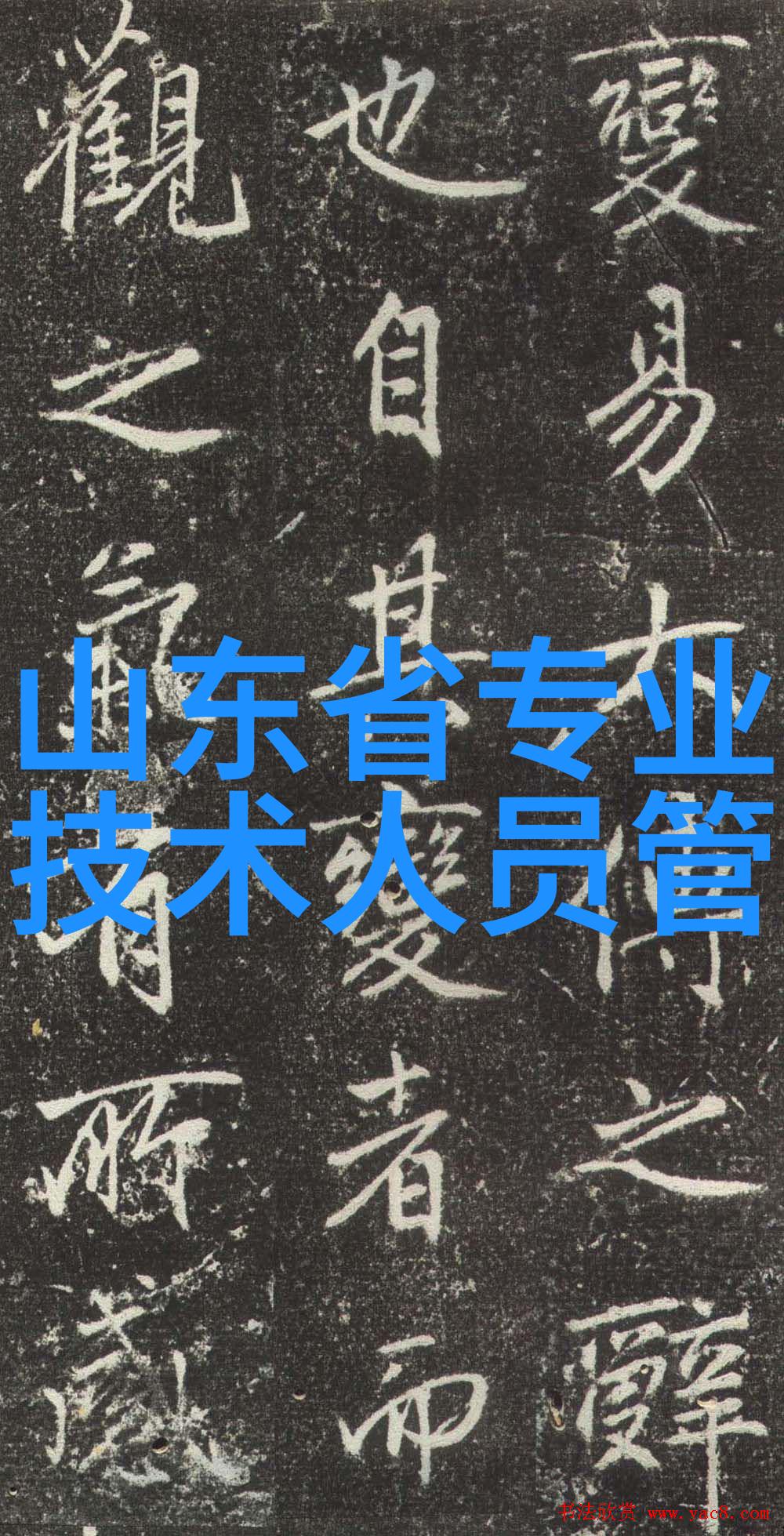 不锈钢架子的多样魅力探索各种不锈钢架子在家居厨房和工业中的应用