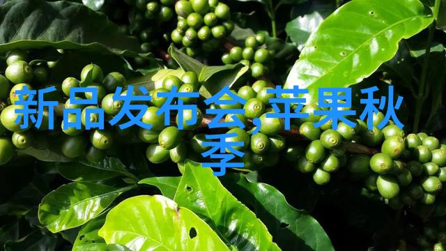 不锈钢加工技艺铸就耐久与美观的合金艺术