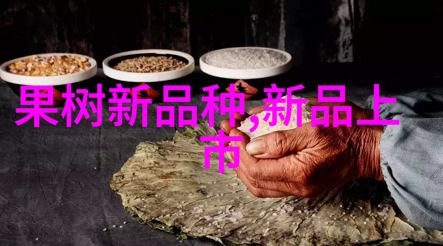 新时代思维引领者山西财经大学金融管理课程深度解析