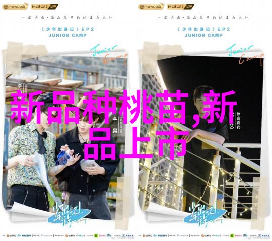气力输送设备厂家我来告诉你选对了它你的工作效率就能飞跃