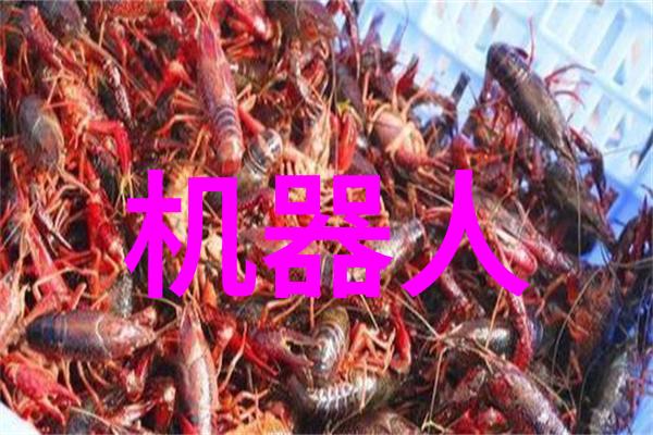 BGMBGMBGM老太太毛多多视频美丽老龄化的自然魅力