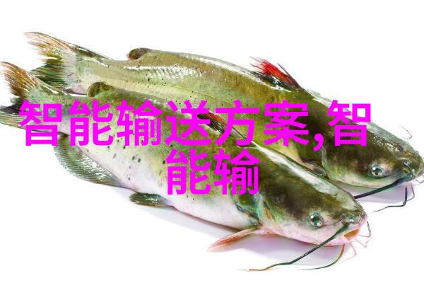 揭示真相理解叙述的艺术与科学