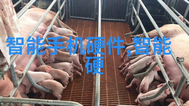 如何在有限的预算下制定有效的新品上市计划