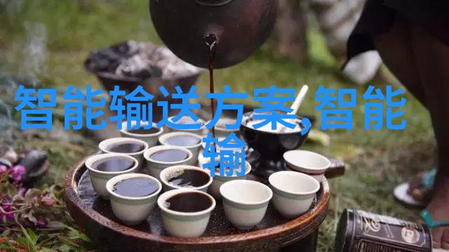 粉体输送设备物料流动的精确艺术