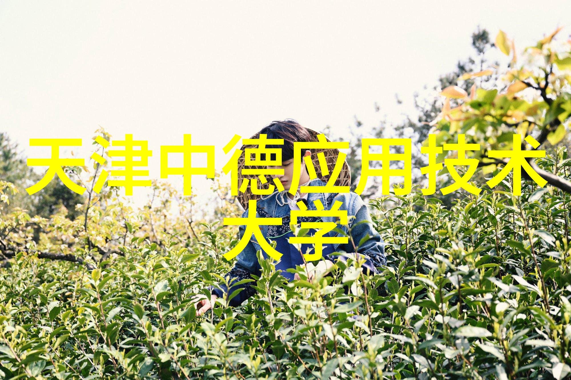 与狐说聊聊夜晚的秘密