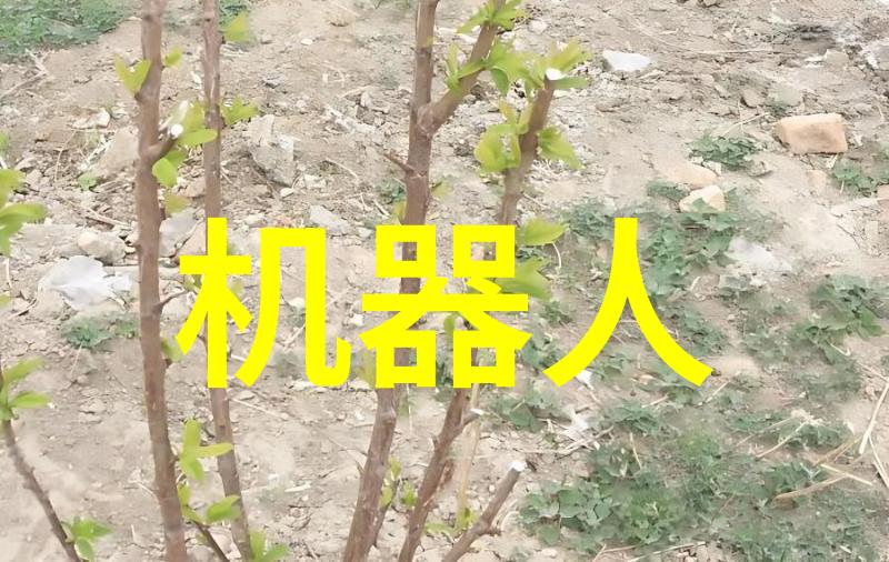 浓缩蒸发技术高效提取设备