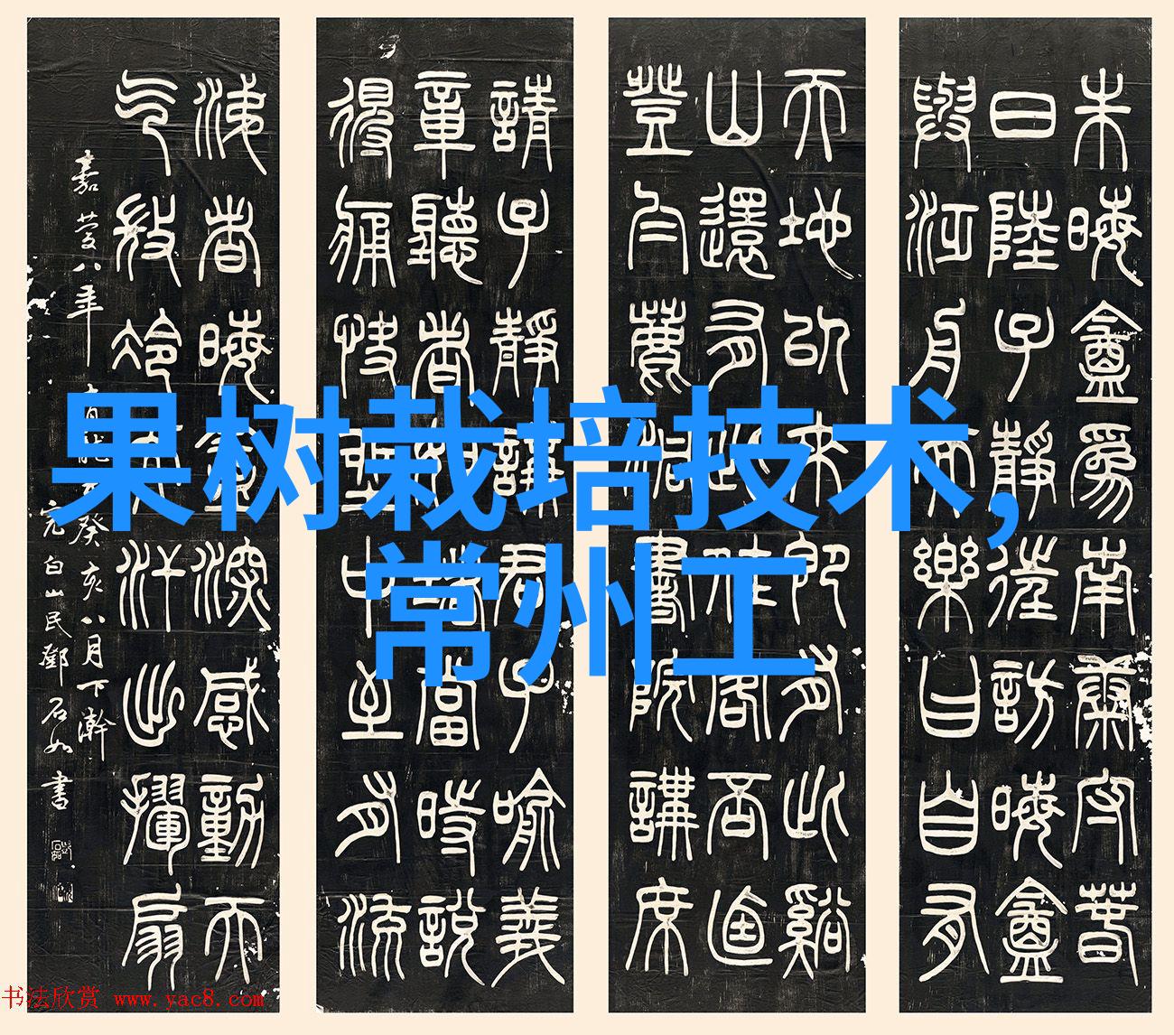 附近PVC管件批发专业供应商提供高品质管道材料