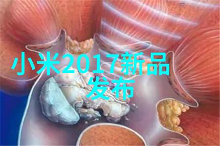 公文写作范文50篇探索文字的艺术与规范