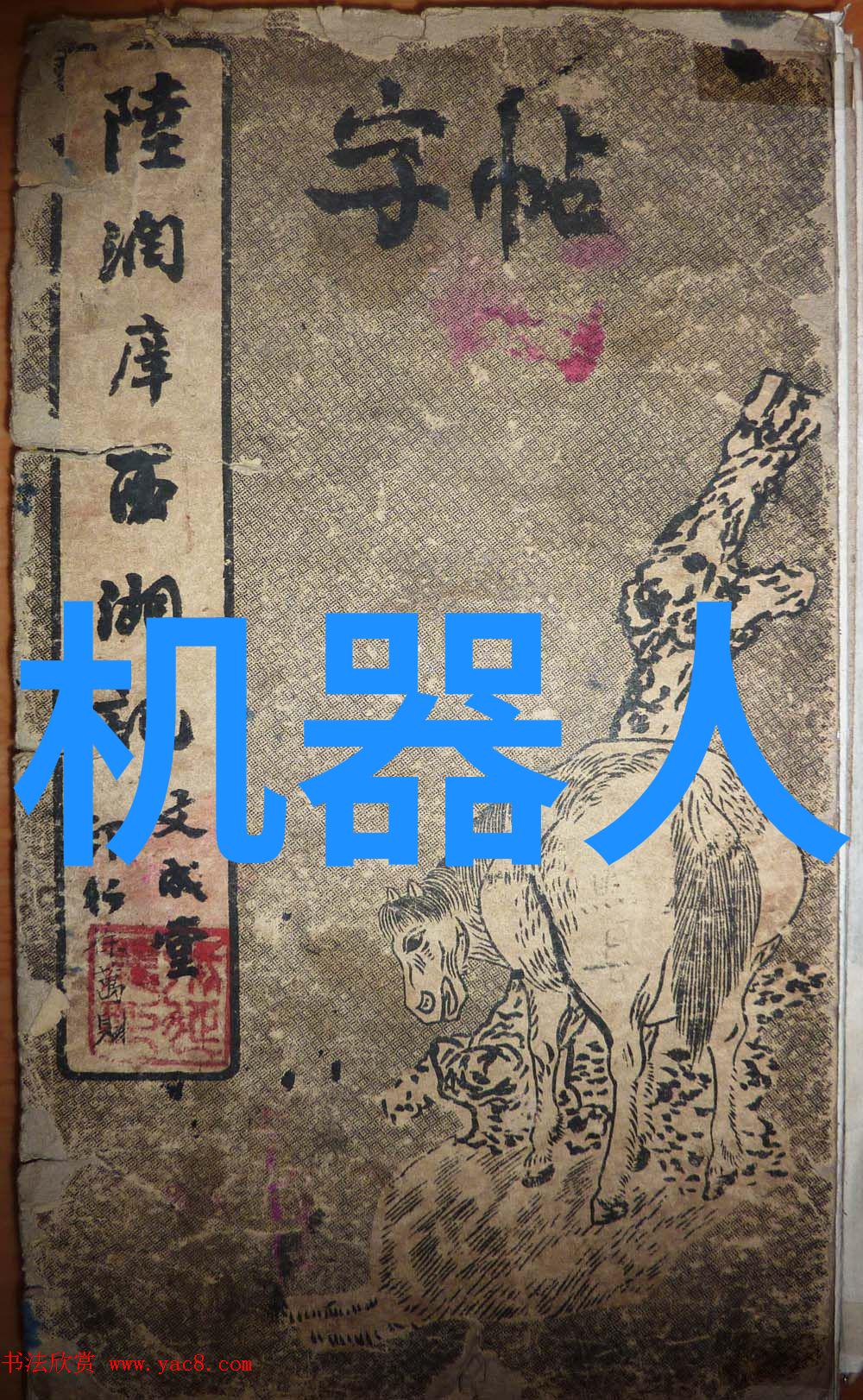 财经大学我在财经大的日子从书本到现实的蜕变