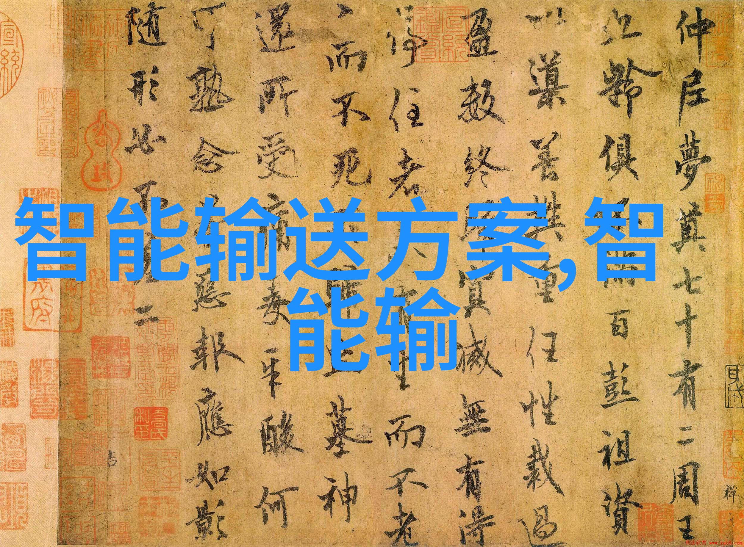 不锈钢丝网填料网-高效筛选与隔离的金属解决方案