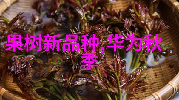 财富启航新浪财经的未来之旅