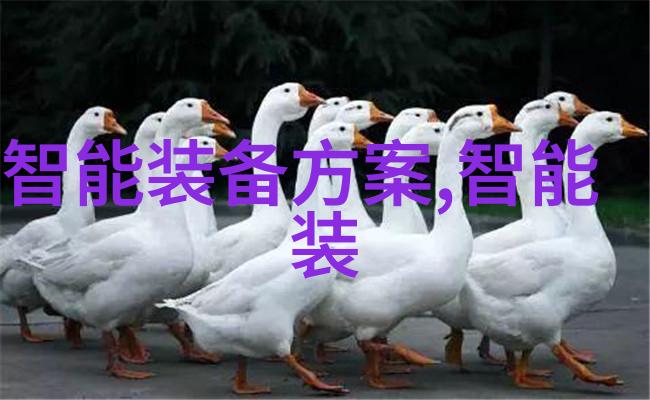 城市之脉智能交通信号灯的秘密频率