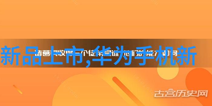 是否存在可以将小物品如珠宝手机等放在内部悬浮净化的情况