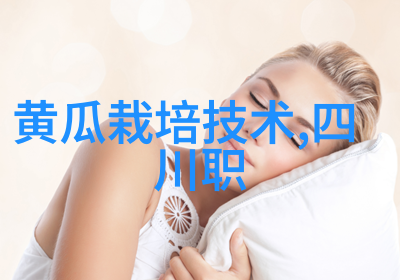 工业用天然气燃烧机效率与环保的双刃剑