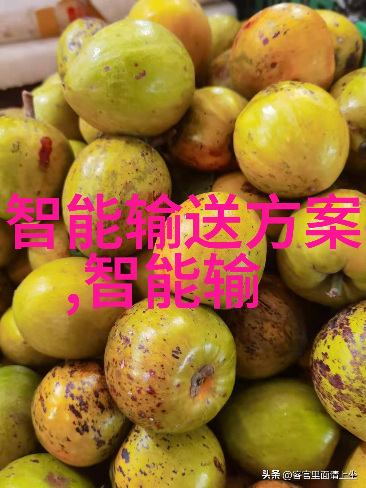 养老院可行性报告我们一起探讨这个投资机会