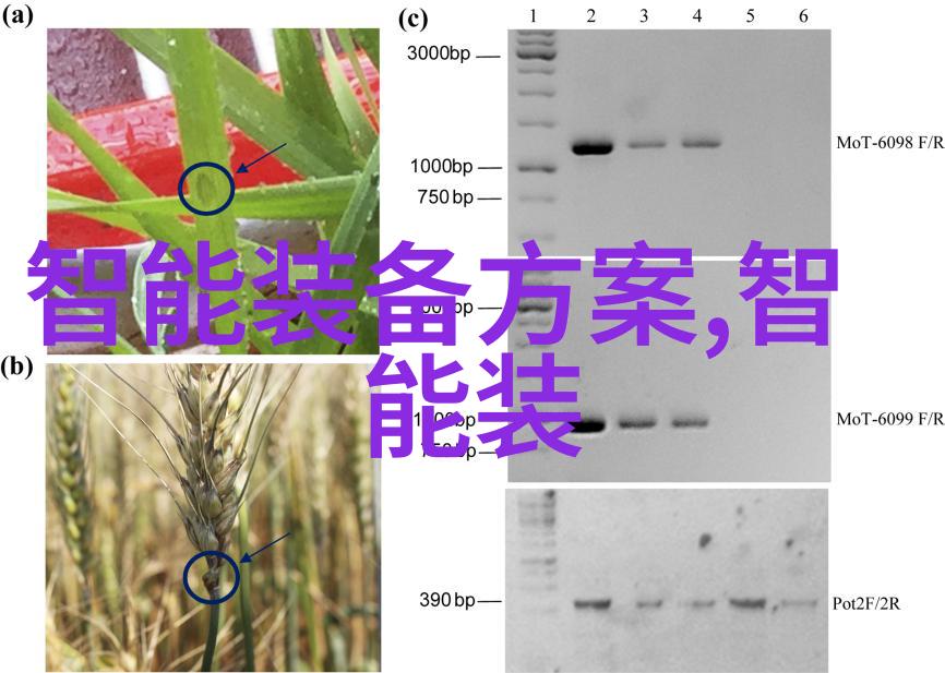水管型号规格表我来帮你整理好这些混乱的数据