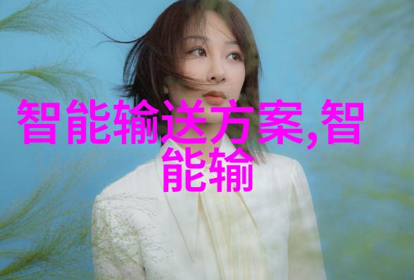 智能互联网安全与隐私保护挑战与应对