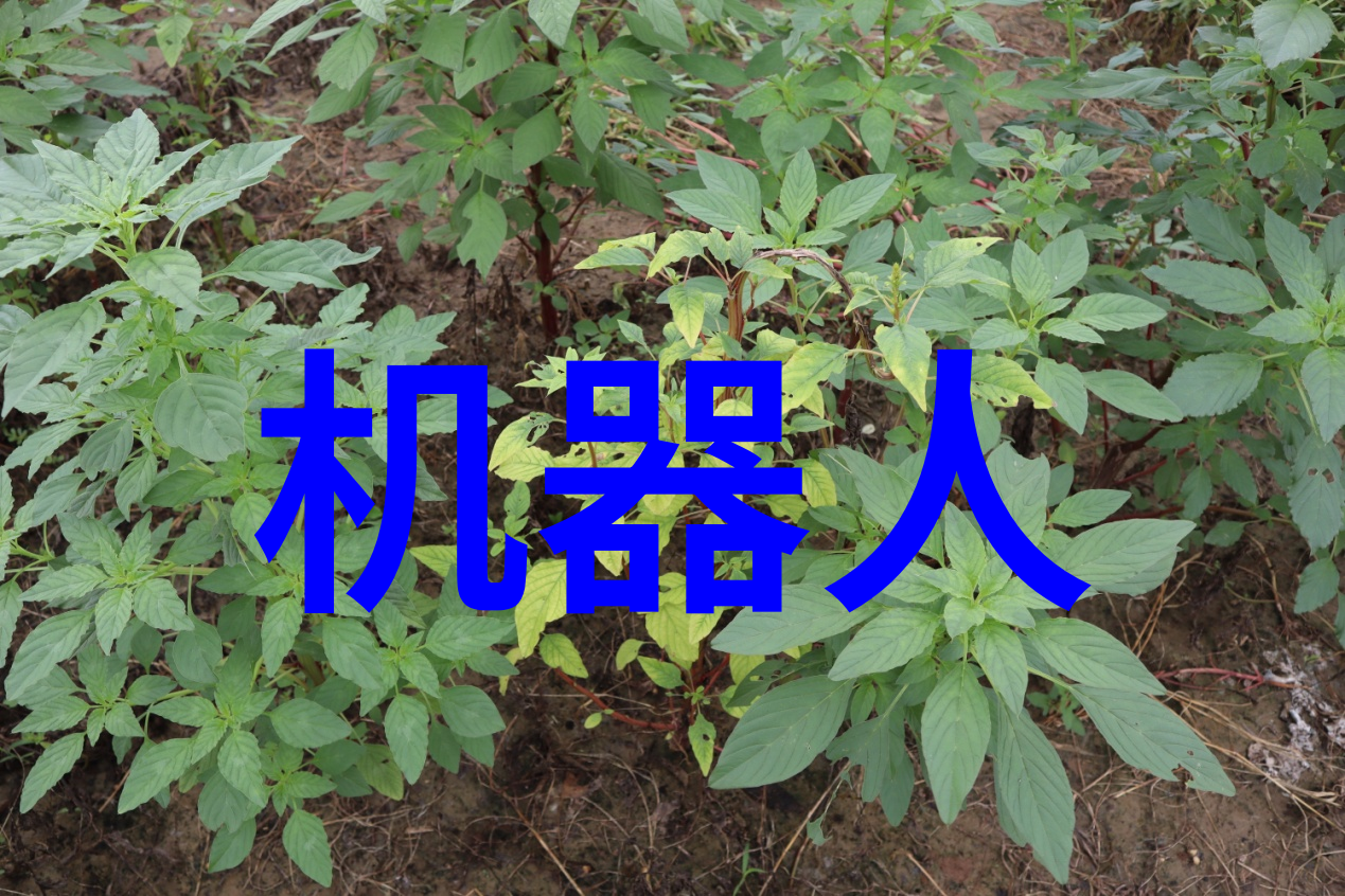 魔兽新品英雄 - 疾风暴雨揭秘最新加入的战士艾尔文黑铁