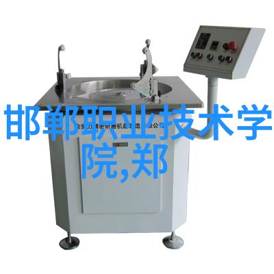 国产芯片崛起背后隐藏的风险和挑战